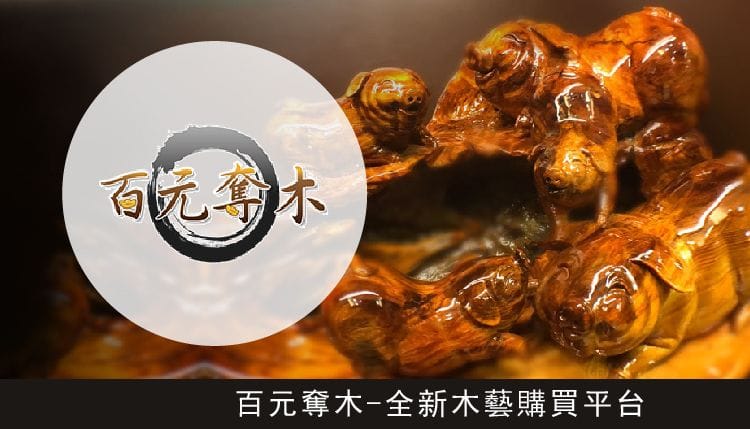 百元奪木